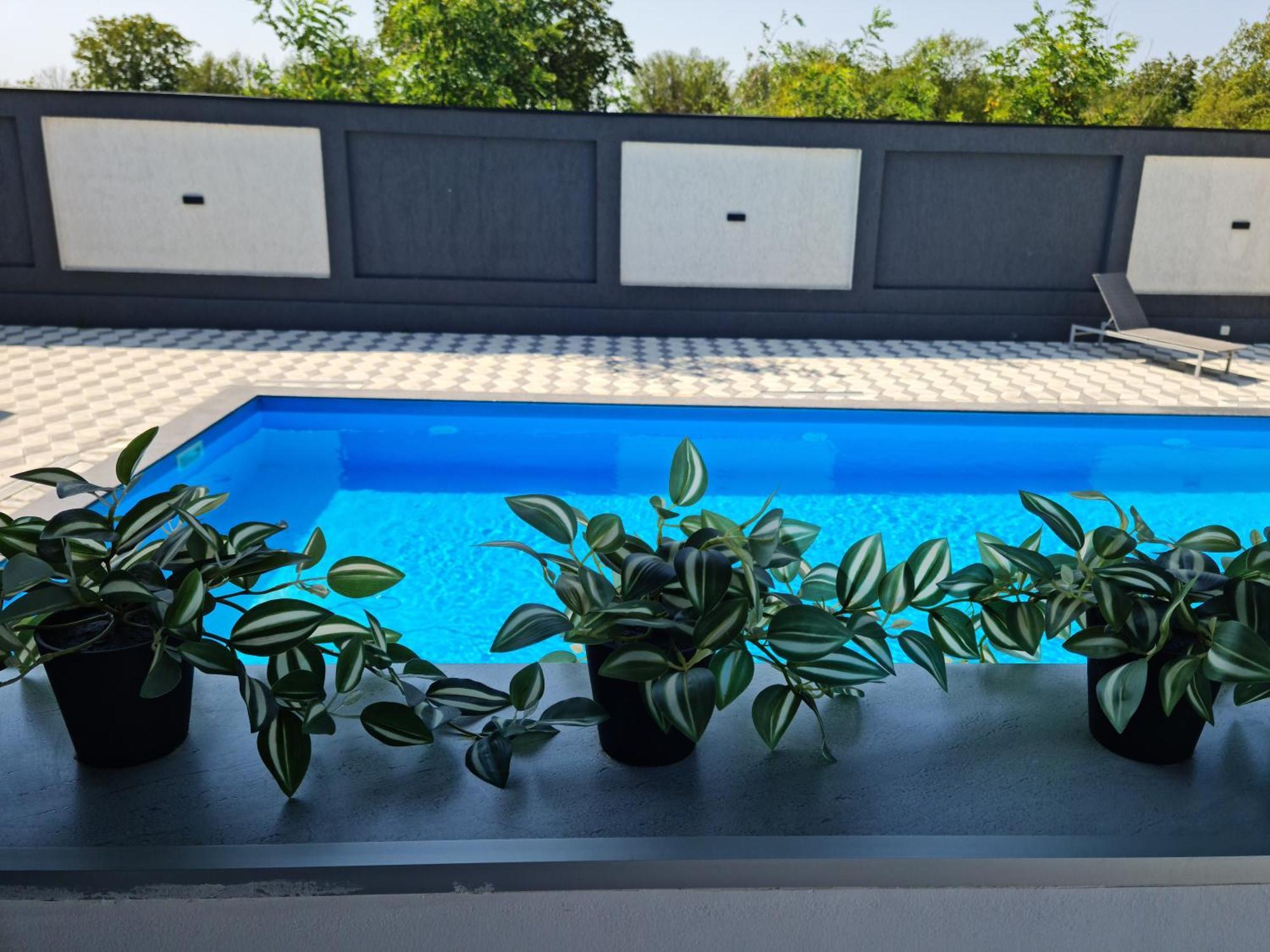 Villa Grey House *